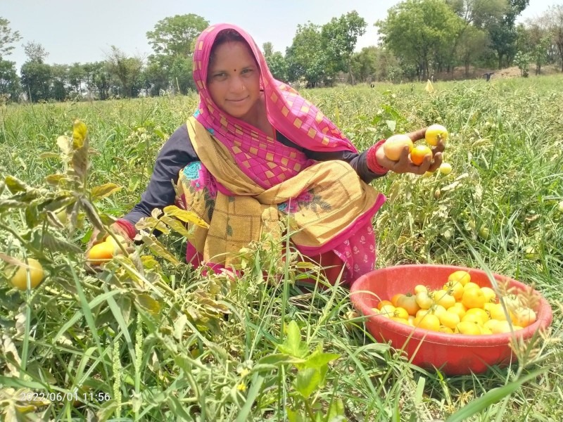 Livelihood Initiatives